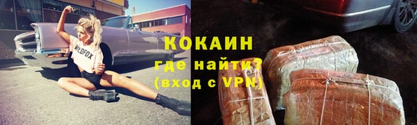 стаф Касимов
