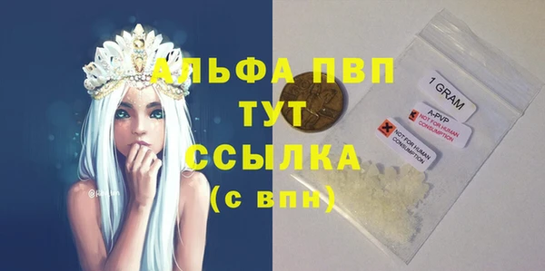 стаф Касимов