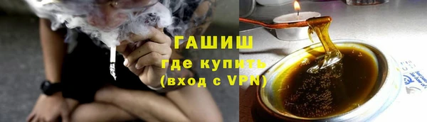 стаф Касимов