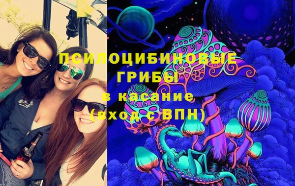 стаф Касимов