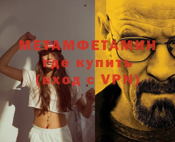 стаф Касимов