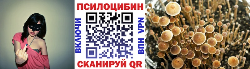 Псилоцибиновые грибы MAGIC MUSHROOMS  kraken зеркало  Суздаль 